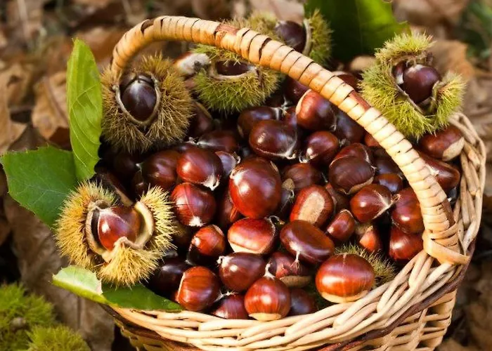 In Mit Privatem Parkplatz By Interhome